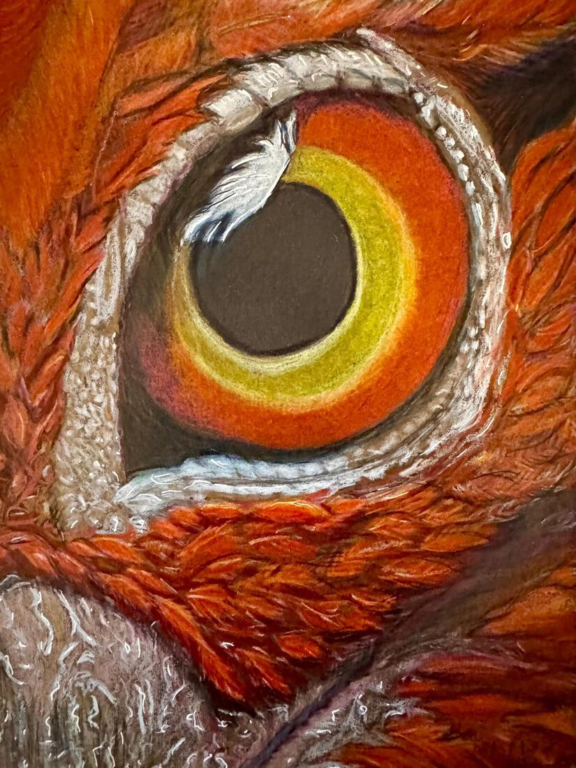 Vogeloog met polychroompotloden