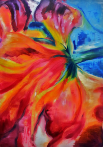 De tulp is voor mij de bloem met vele mooie kanten. In de knop, in volle bloei of zelfs verwelkt is zijn uiterlijk schitterend.