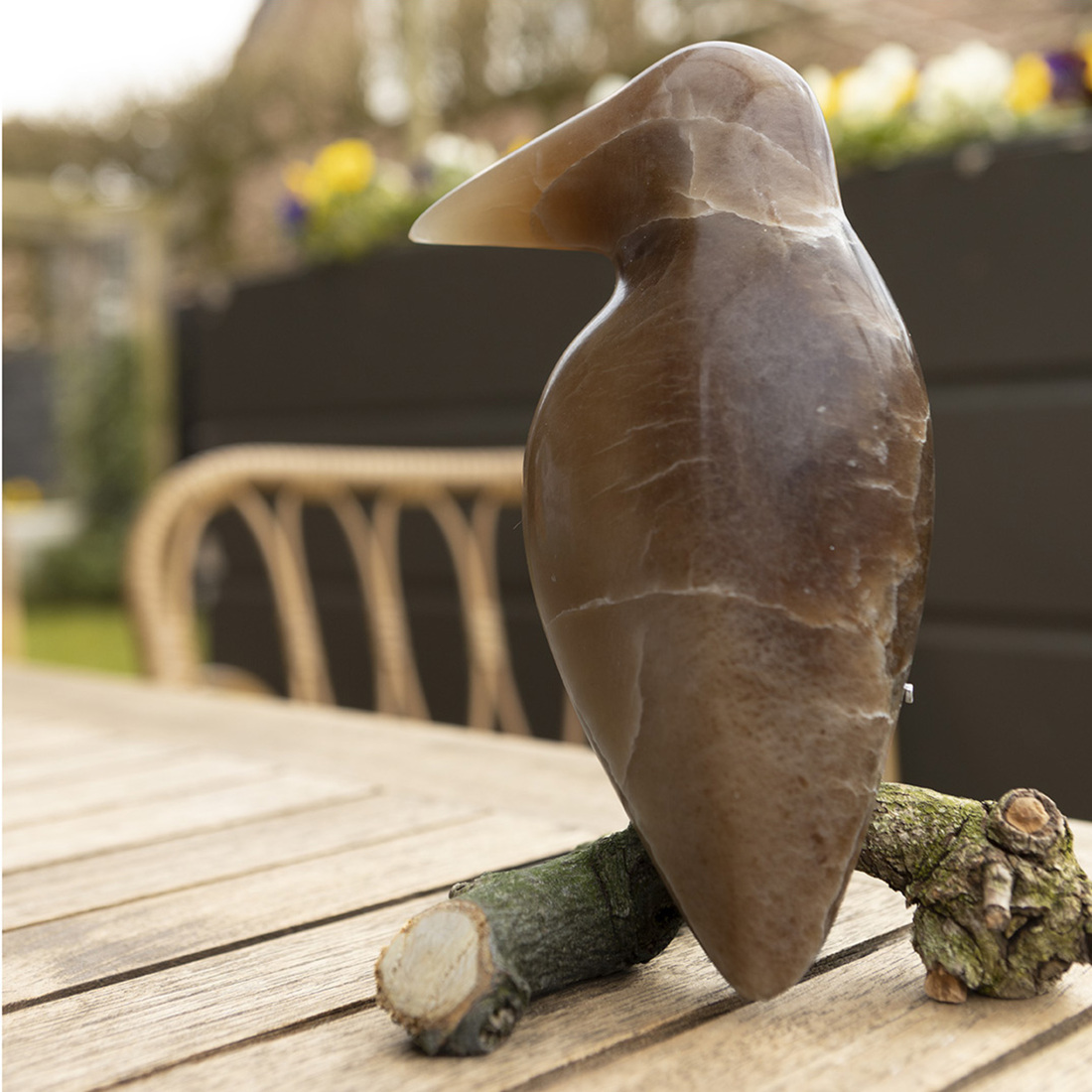 ijsvogeltje bruine albast  (2)