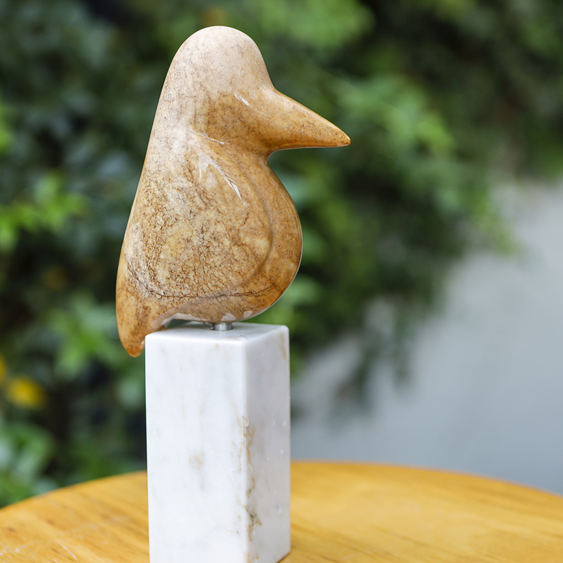 ijsvogeltje van galastone (2)