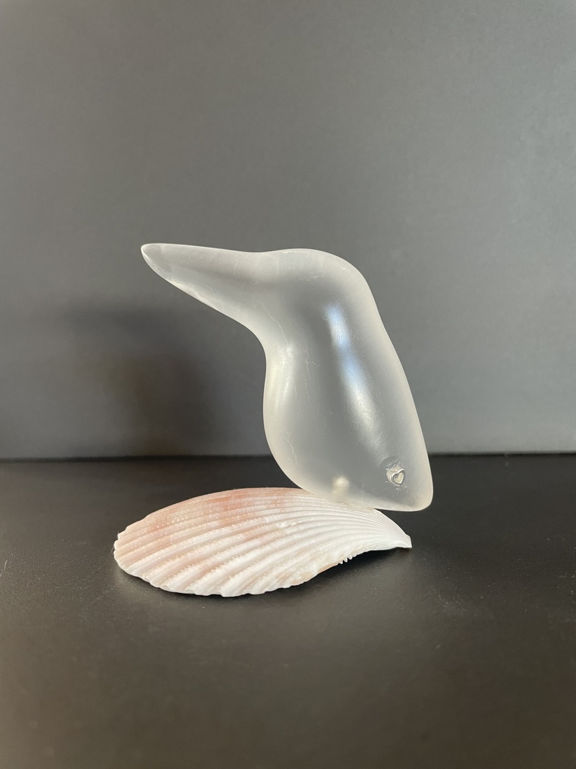 Lief klein ijsvogeltje 