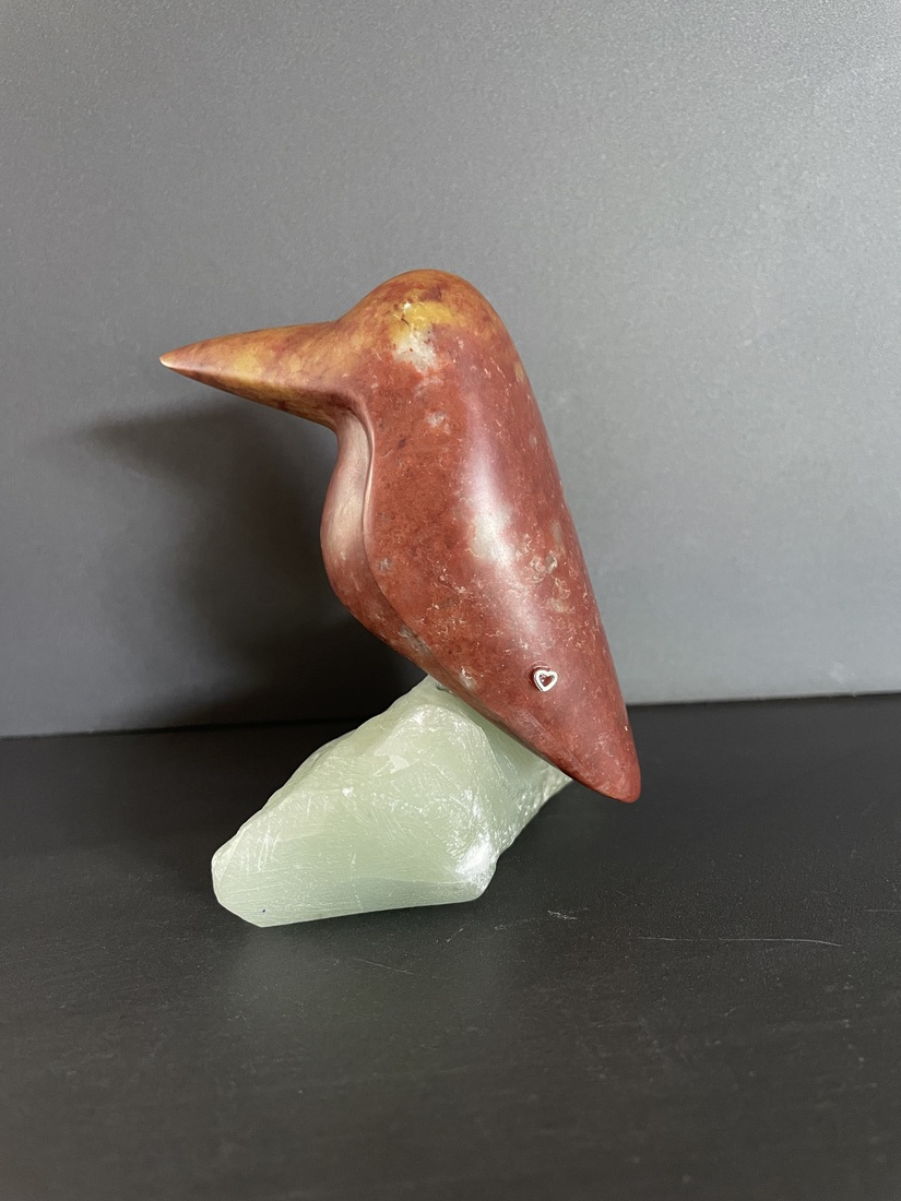 ijsvogeltje van India Red 