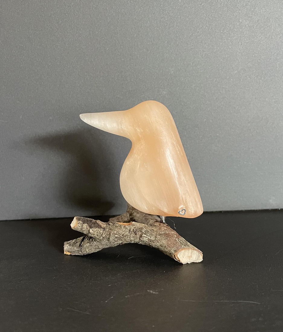 Lief klein ijsvogeltje van oranje seleniet 