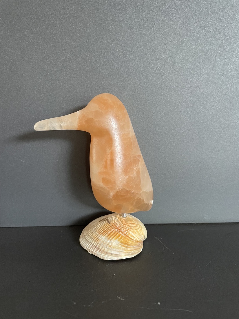 ijsvogeltje van oranje seleniet (6)