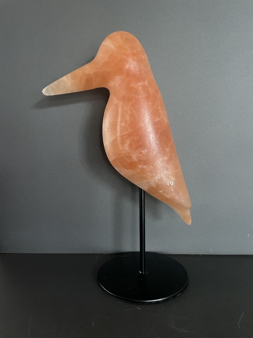 oranje seleniet ijsvogeltje 