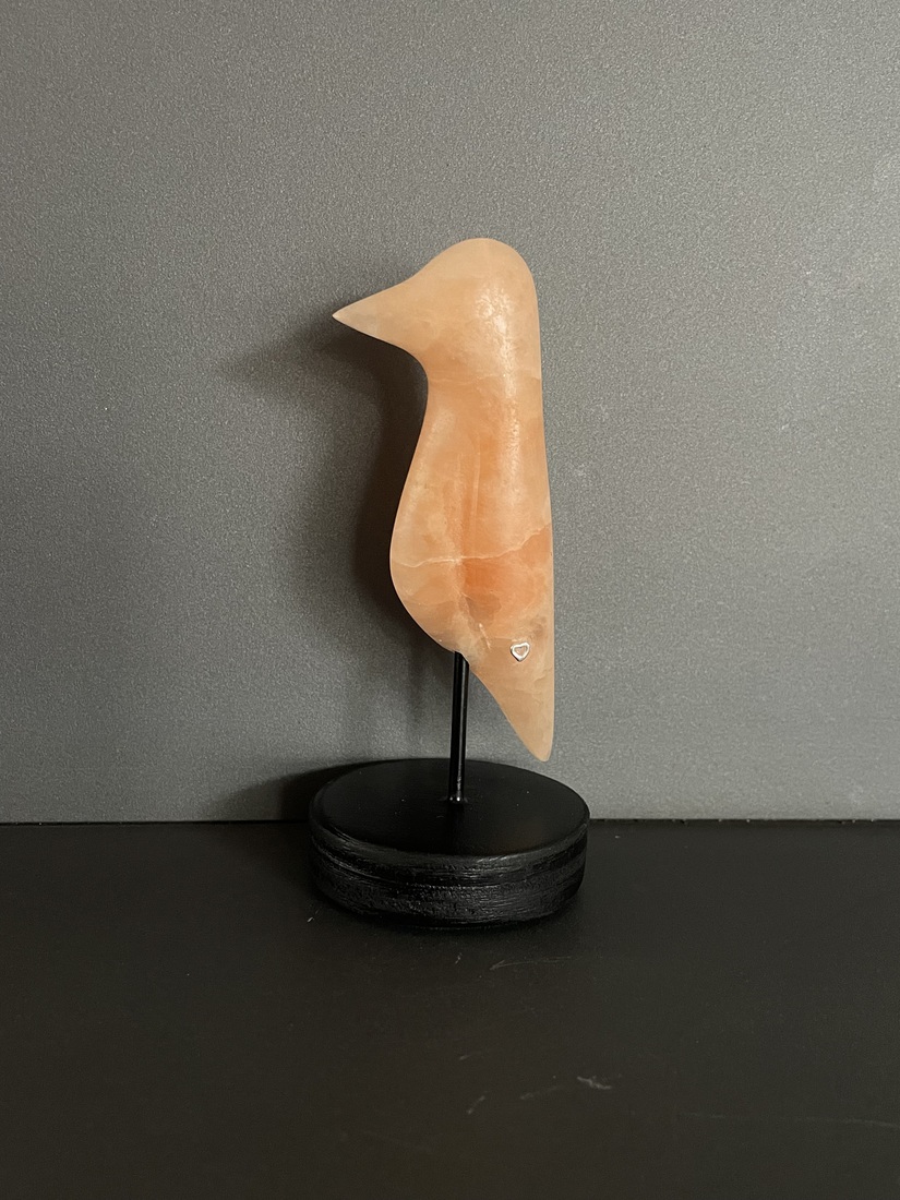 Vogeltje van seleniet 