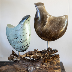 Diverse soorten beelden