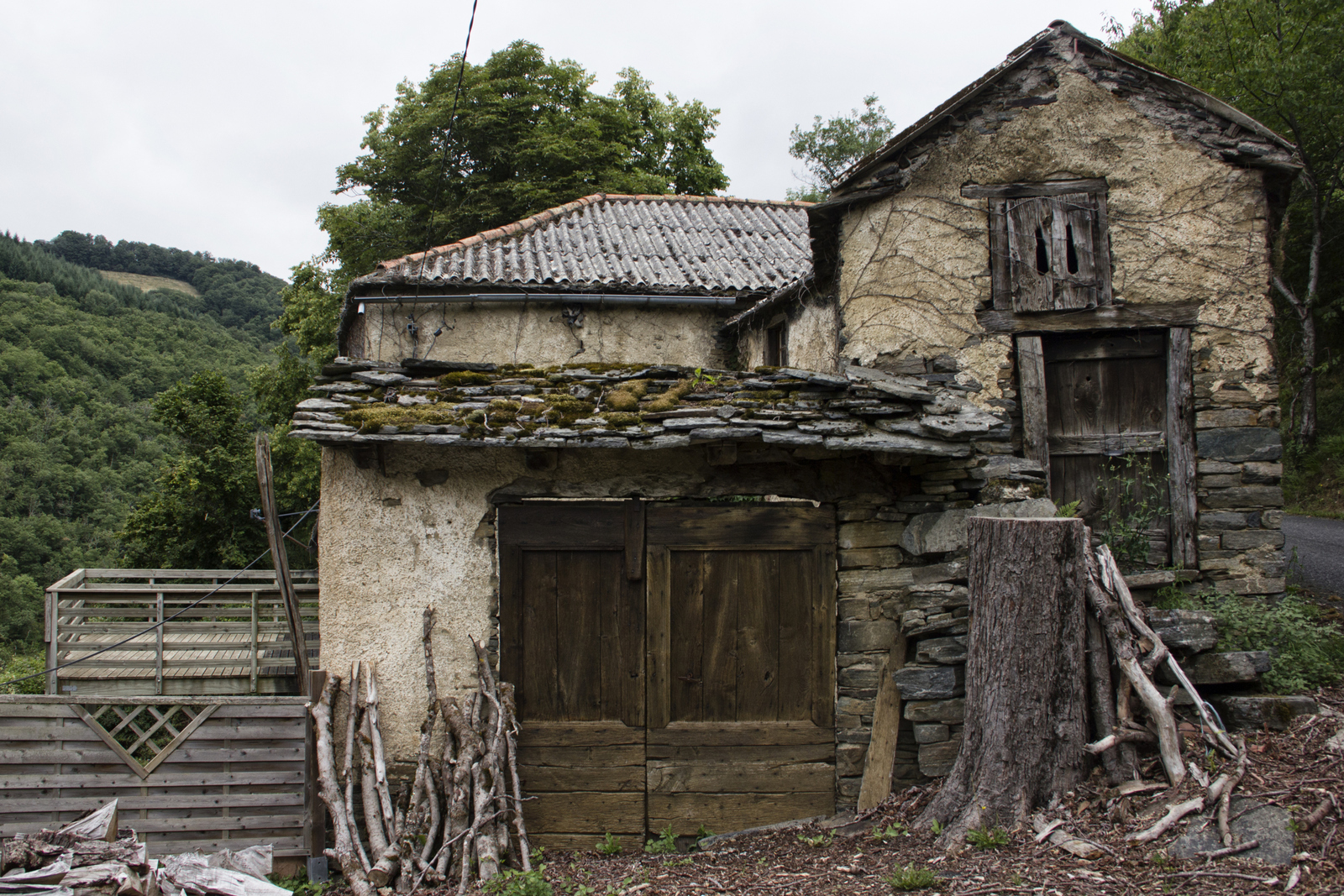 Abandoned House 