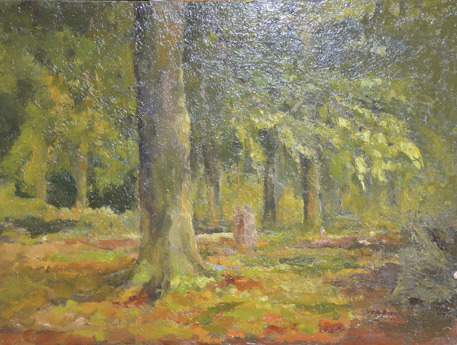 Bomen in bos