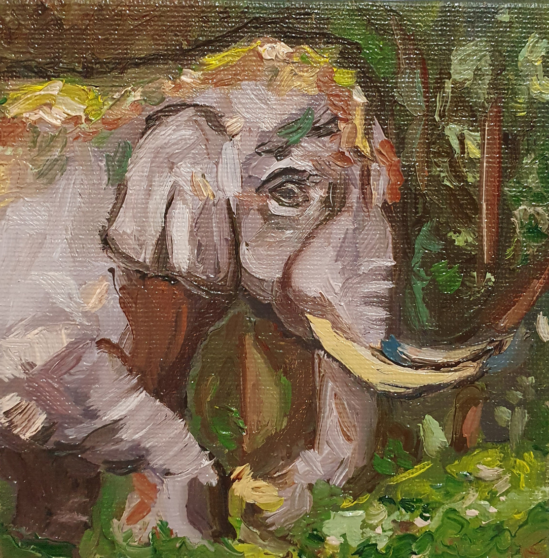 Olifant