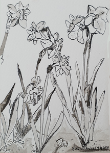 Bijvoorbeeld inkt en aquarel