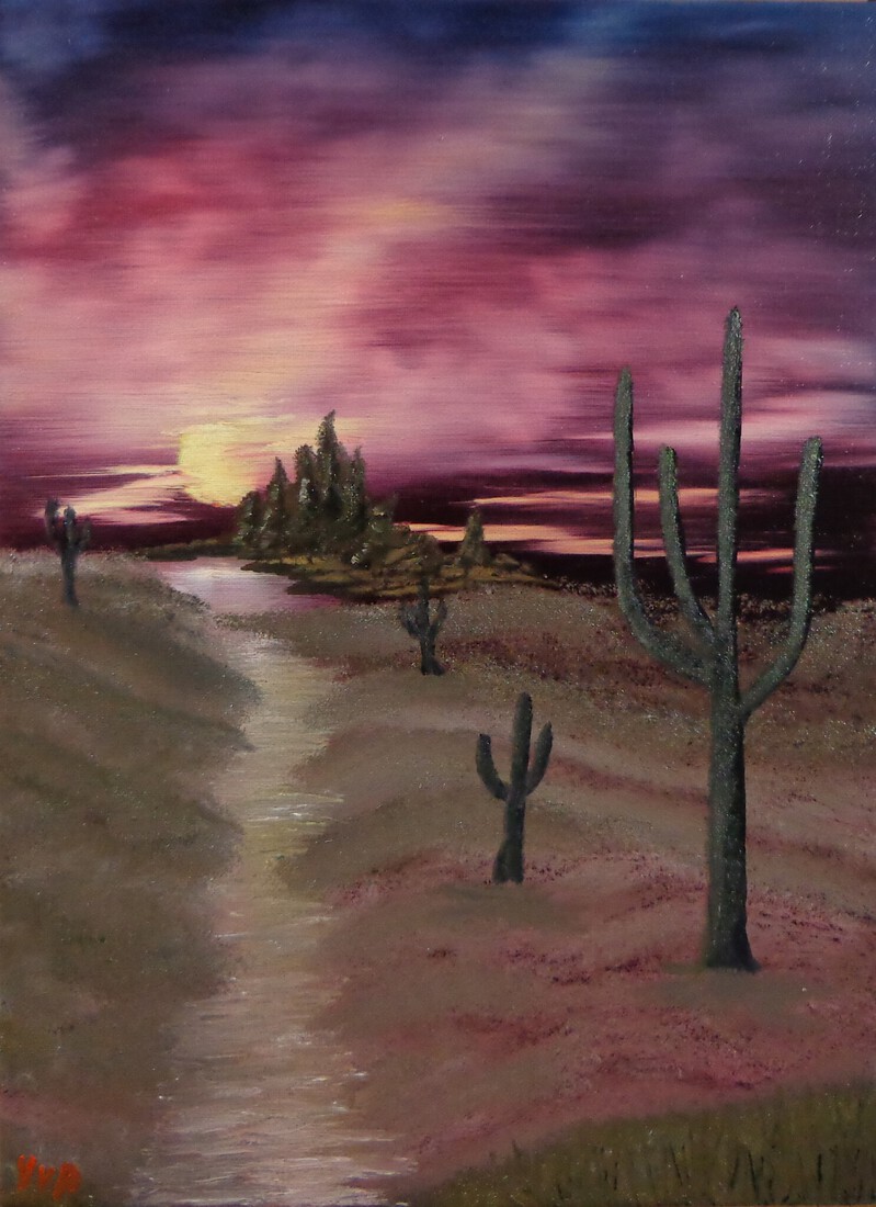 Zonsondergang in cactusland