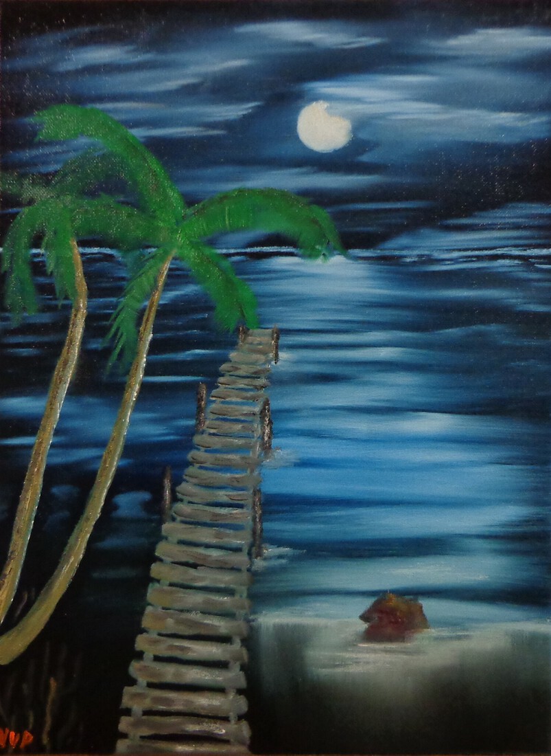 Aanlegsteiger in 't maanlicht