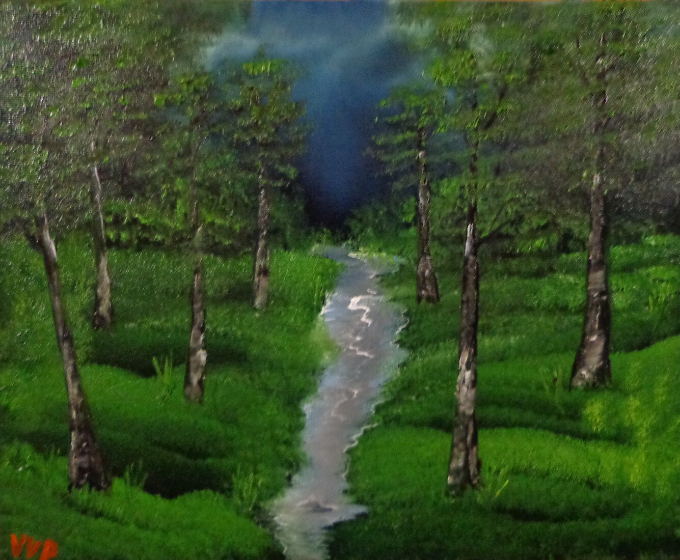 Bos met een nat weggetje na de regen