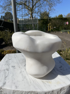 korstmossen; klein en wonderschoon