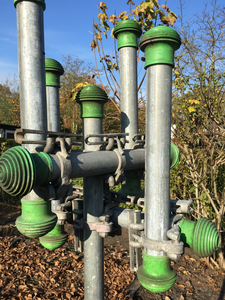 Bloemen; tijdloos en oneindig recycleerbaar