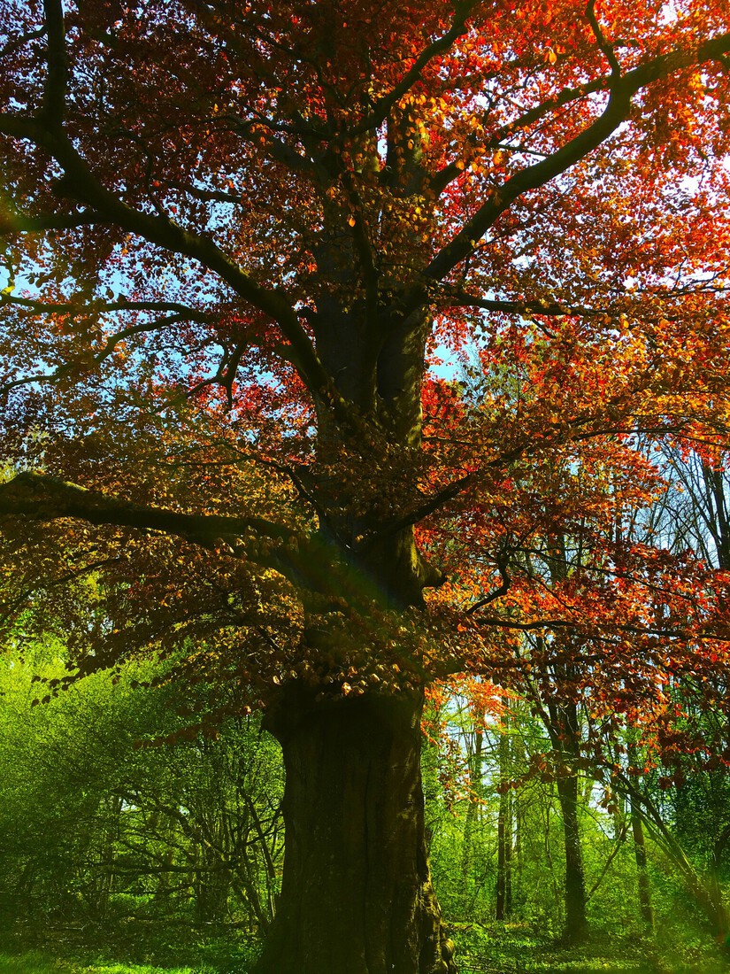 When Nature Calls #15