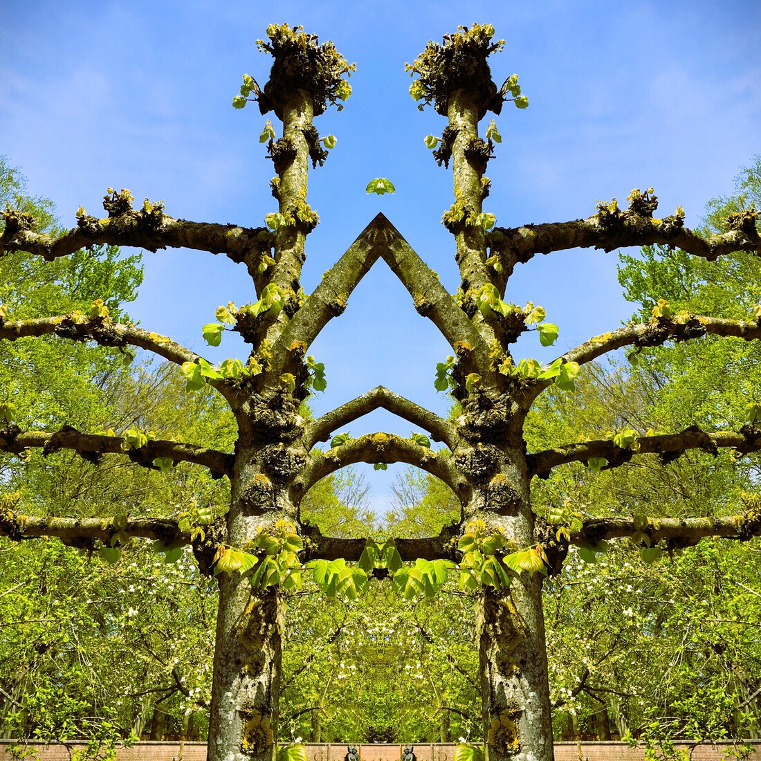 When Nature Calls #13