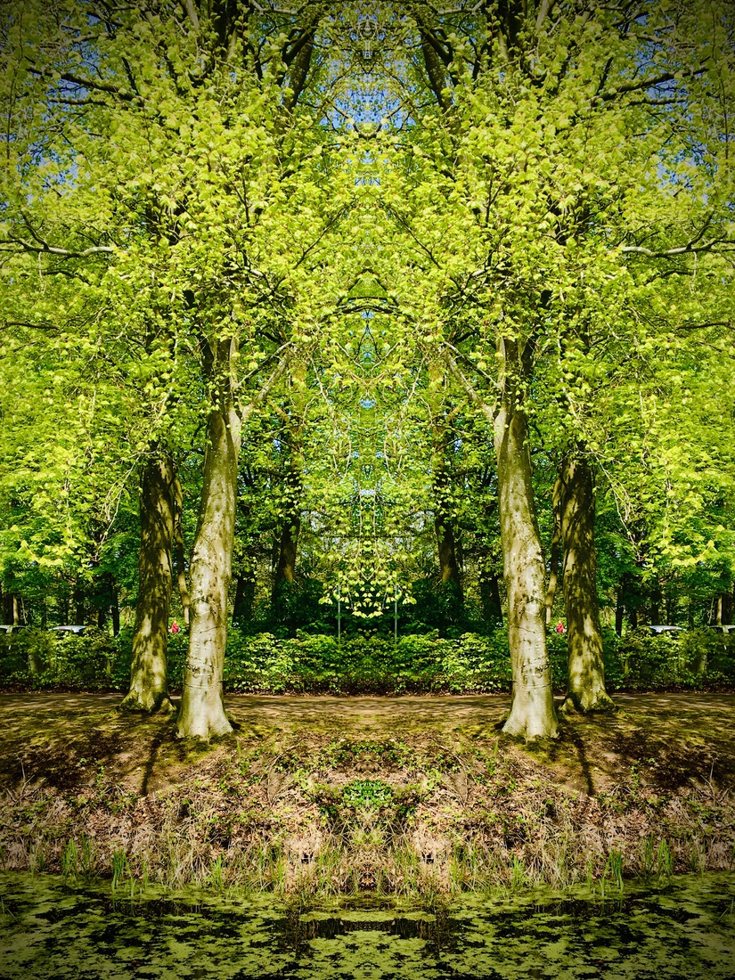 When Nature Calls #11