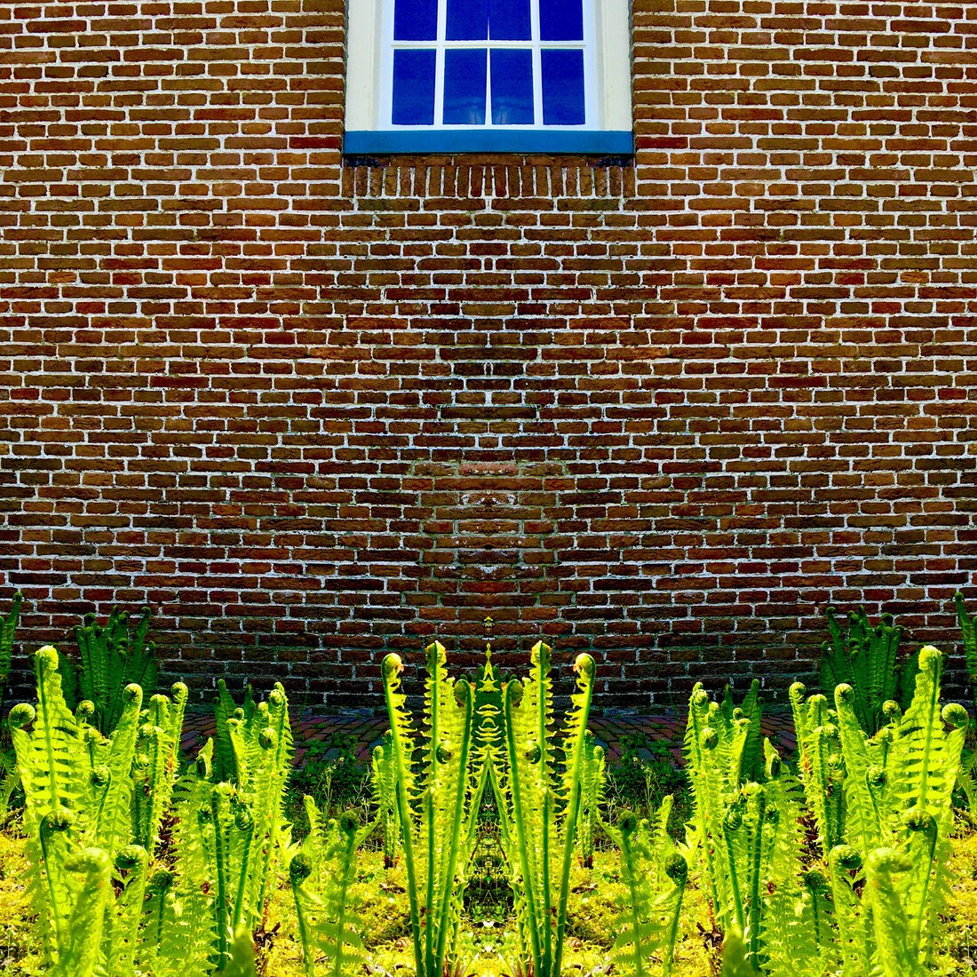 When Nature Calls #2