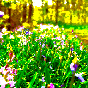 als het buiten grijs is maak ik binnen mijn eigen licht