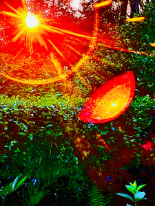 Een prachtige zomeravond, een lichtval, een vonk die overspringt.