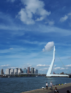 Rotterdam door het oog van Jolanda: zowel met camera. als pen als penseel laat ik 'mijn' stad Rotterdam zien: vooral de skyline en het immer fascinerende water van de stad.