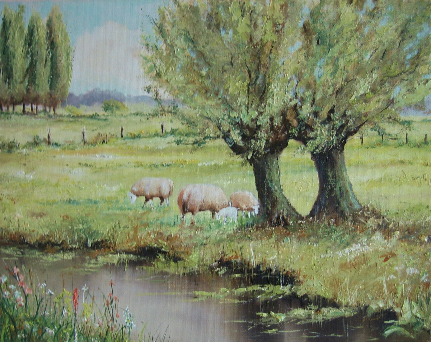 Landschap in het voorjaar