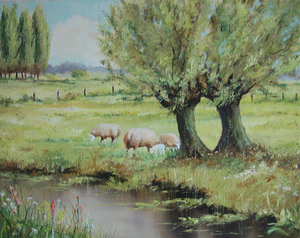 Diverse landschappen