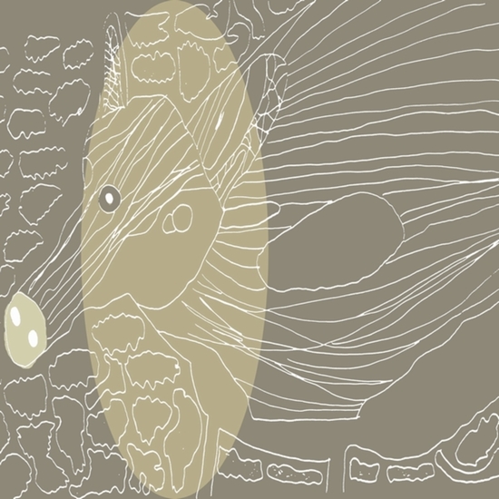 aardvarken