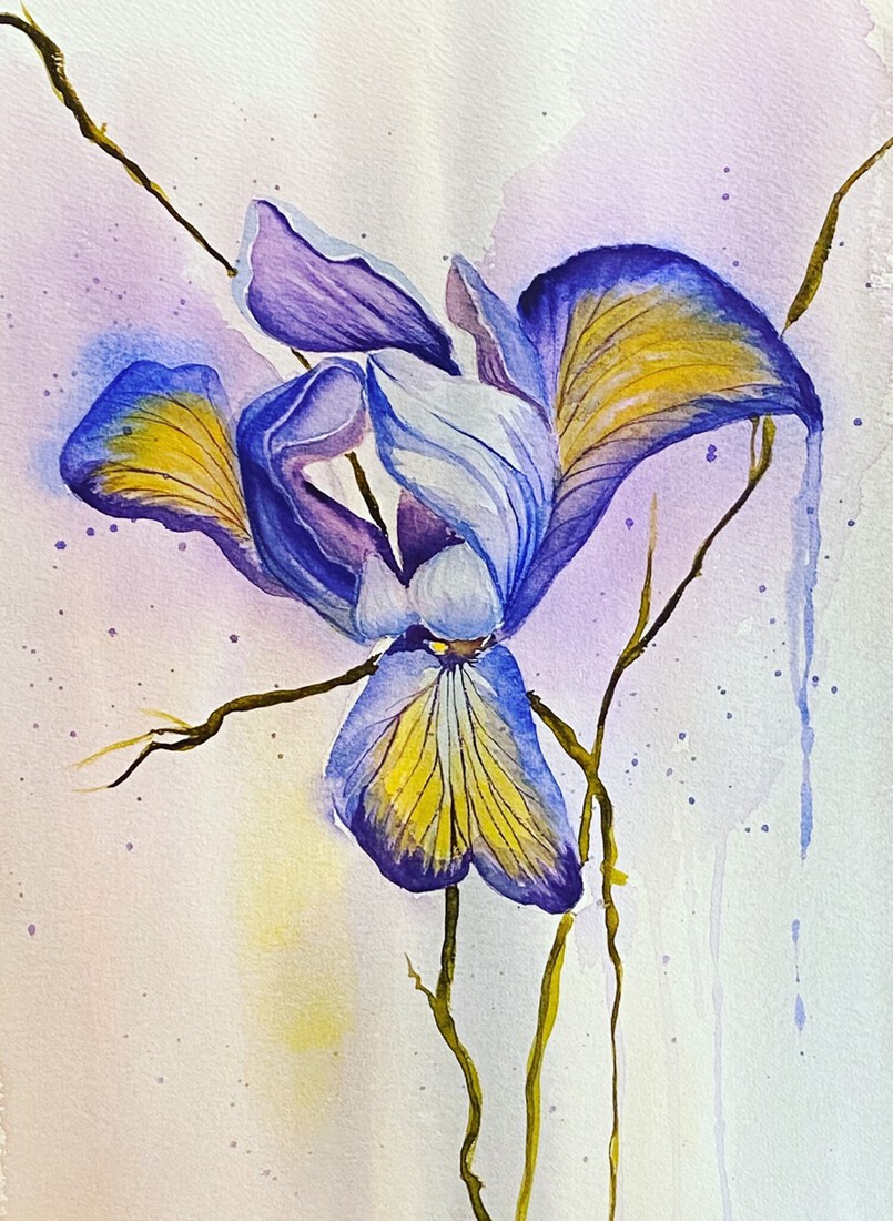 Iris
