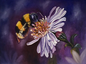 De schoonheid van de natuur in detail.