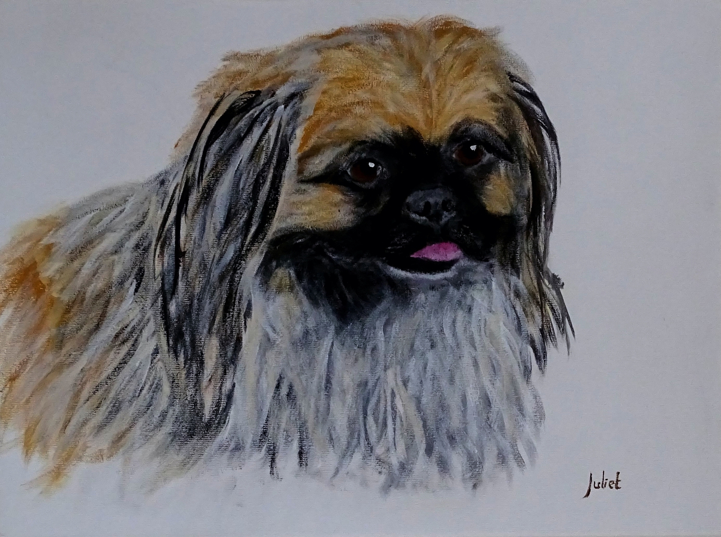 Pekinese