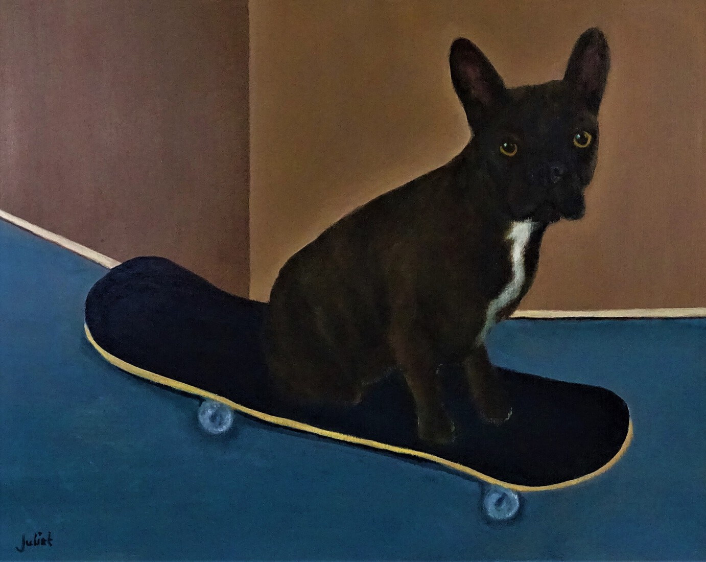 Franse Bulldog op skateboard