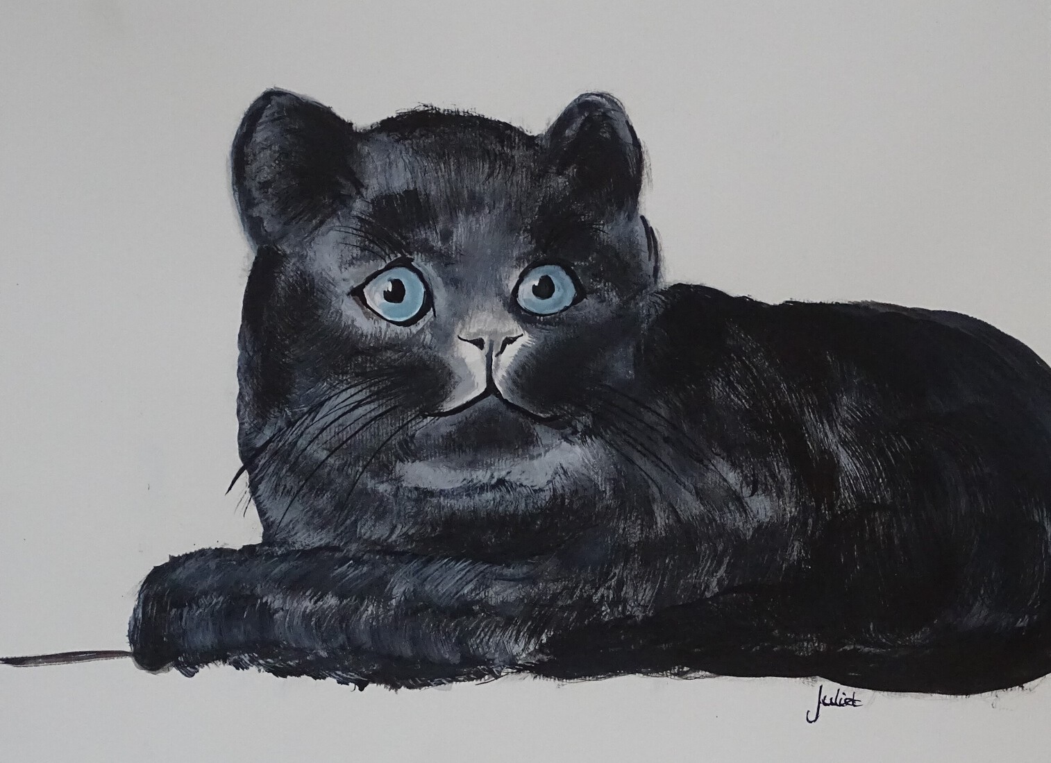 Zwarte kater met blauwe ogen