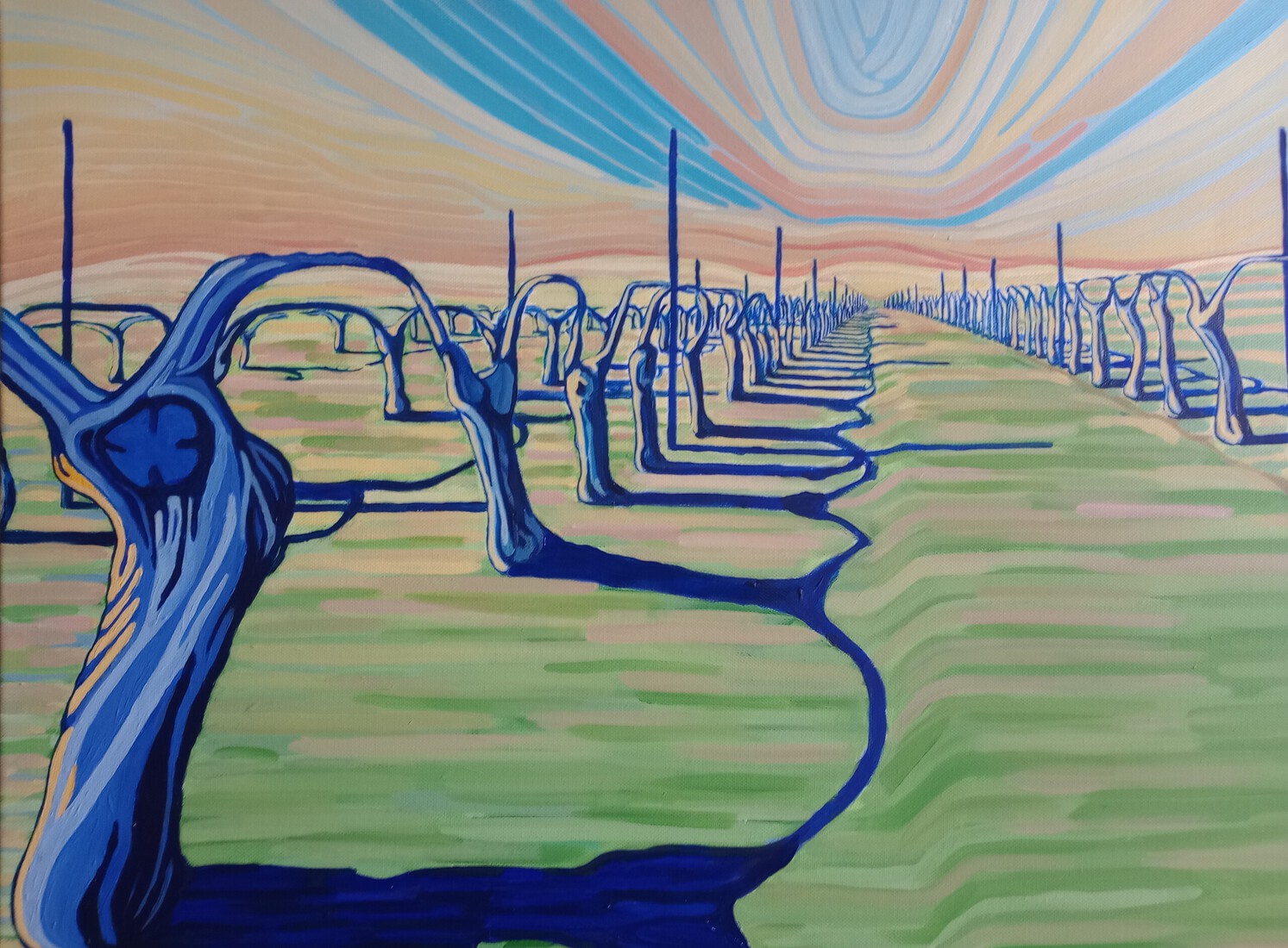 Winter in de wijngaard