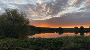Dit zijn verschillende foto’s die ik heb gemaakt van de natuur. 