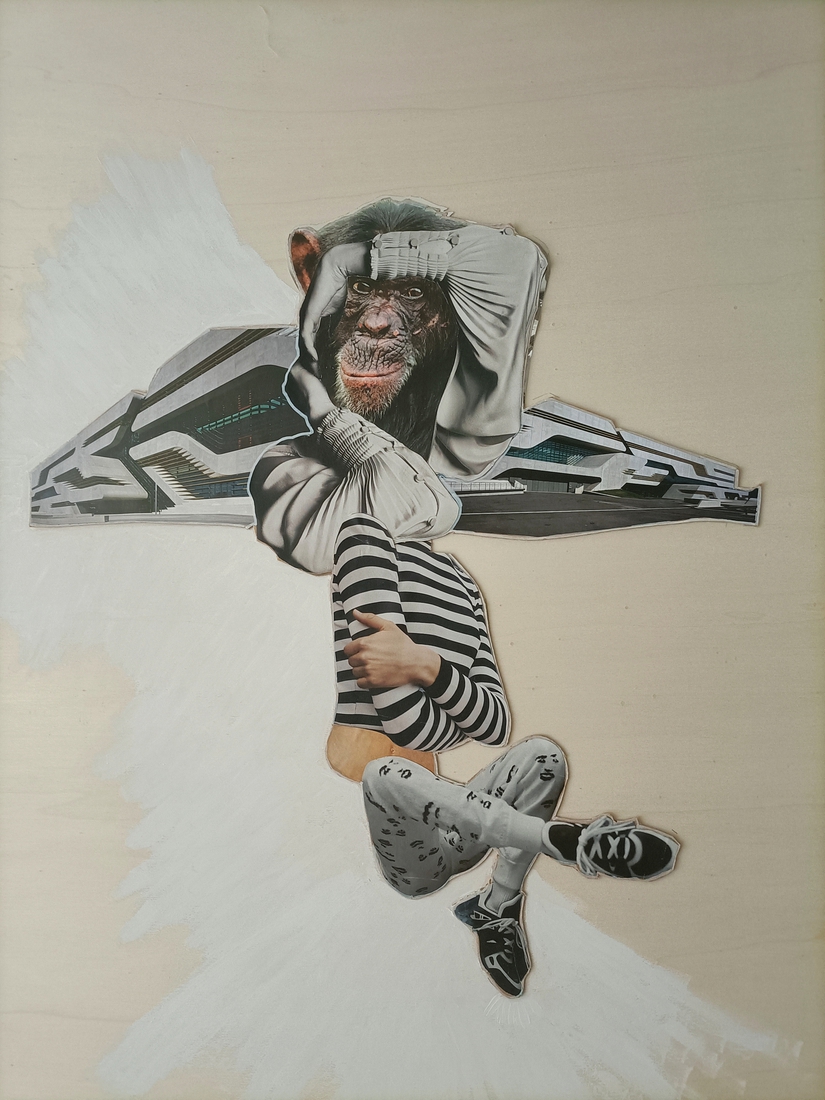 Monkey 4/4