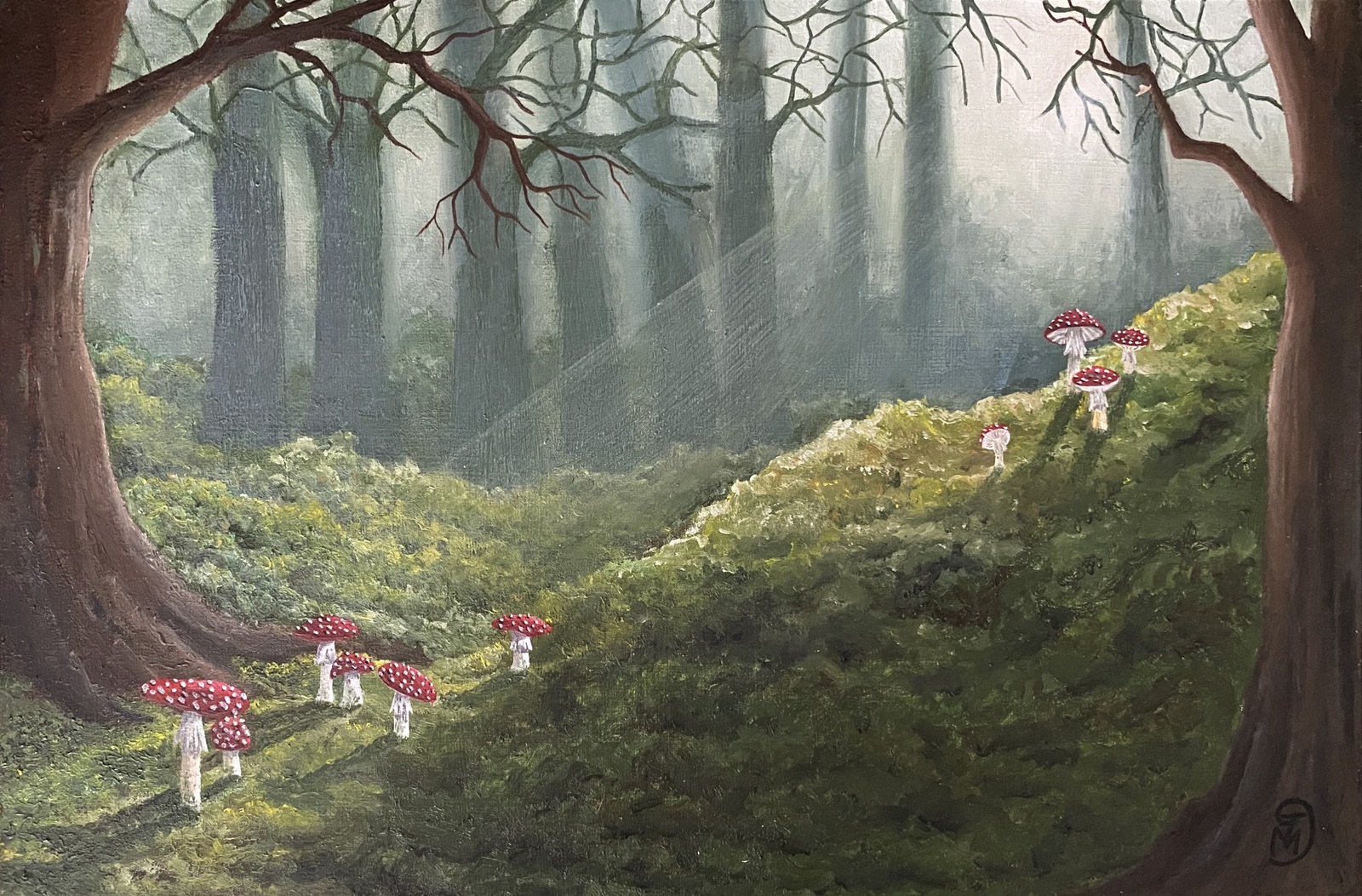 Vliegenzwammen in het bos