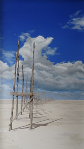 de schilderijen van de waddeneilanden zijn gemaakt aan de hand van eigen gemaakte foto's.