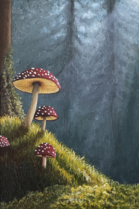 Bos en paddenstoelen