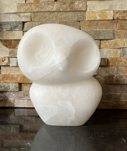 Diverse vogels van verschillende soorten steen. 