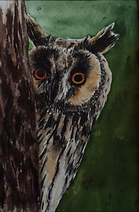 Aquarellen gemaakt tijdens cursusavonden en 'en plein air'.