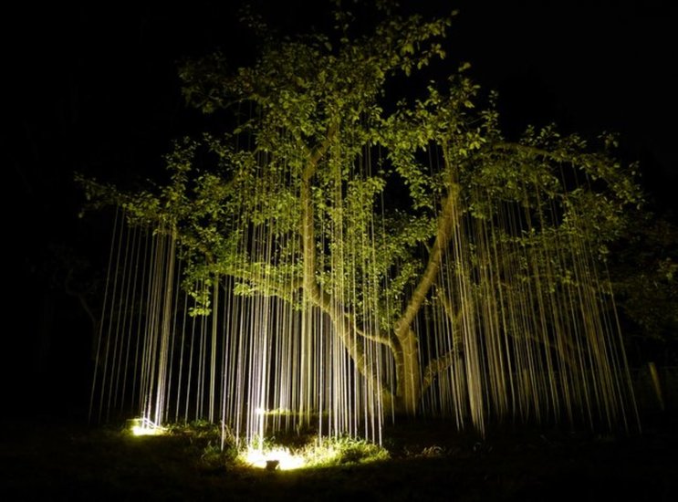 'Connection' by night