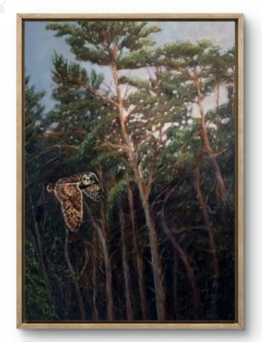 Forest with Barn Owl 