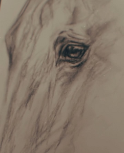 Tekeningen en Schetsen 
