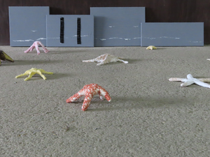 Zeesterren uit stof, deels tentoongesteld aan de Kunstschouw 2023 in Schuur De Wilde, Brijdorpe.