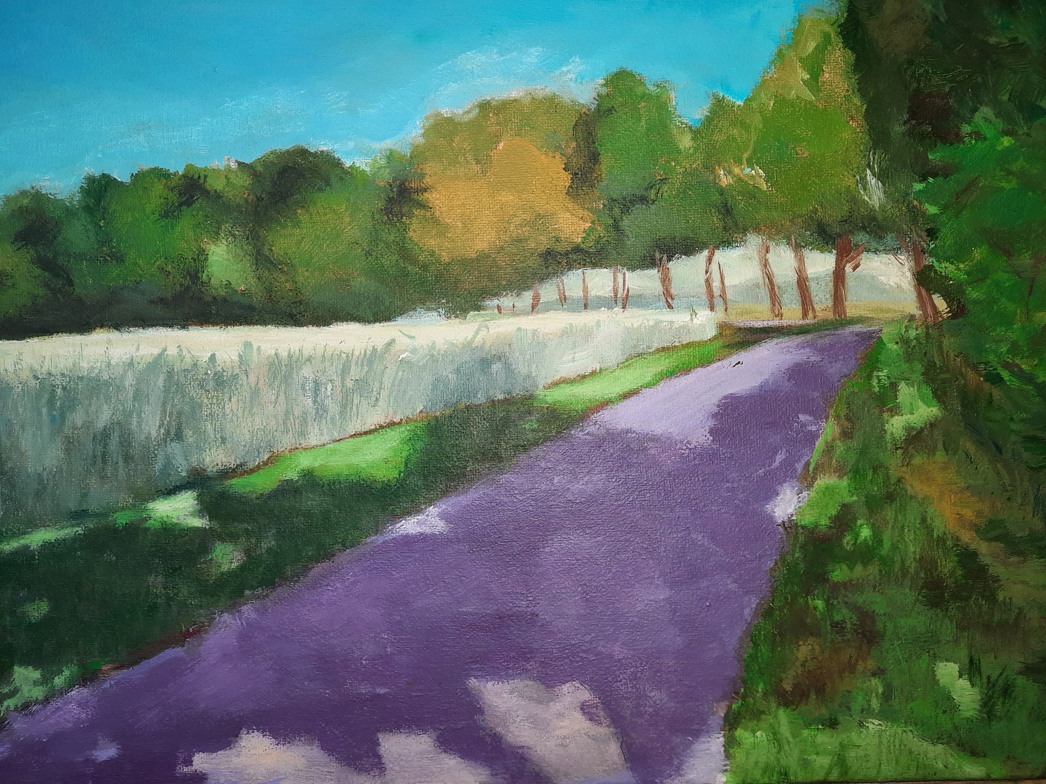 Zomerdag in Vriescheloo