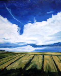 Het Groninger land is vaak een bron van inspiratie