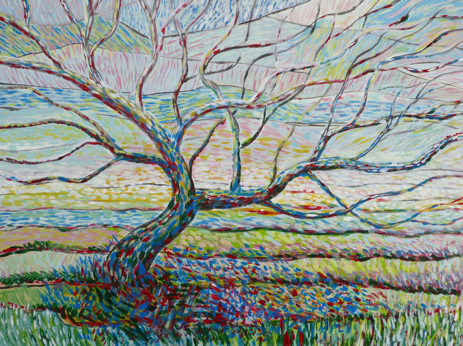 boom 1 Junner Koeland Salland